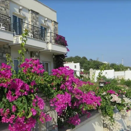 Gloria Tibi 2* Gümbet