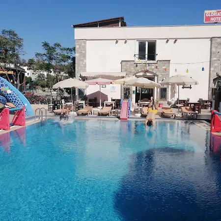 Gloria Tibi 居姆贝特