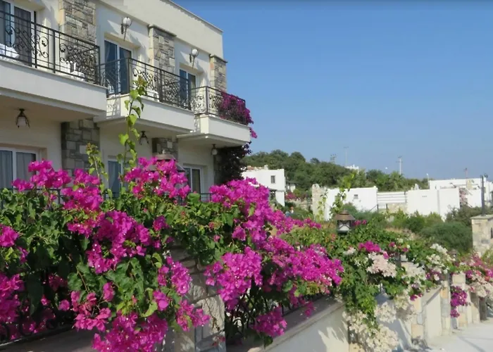 Gloria Tibi 2* Gumbet